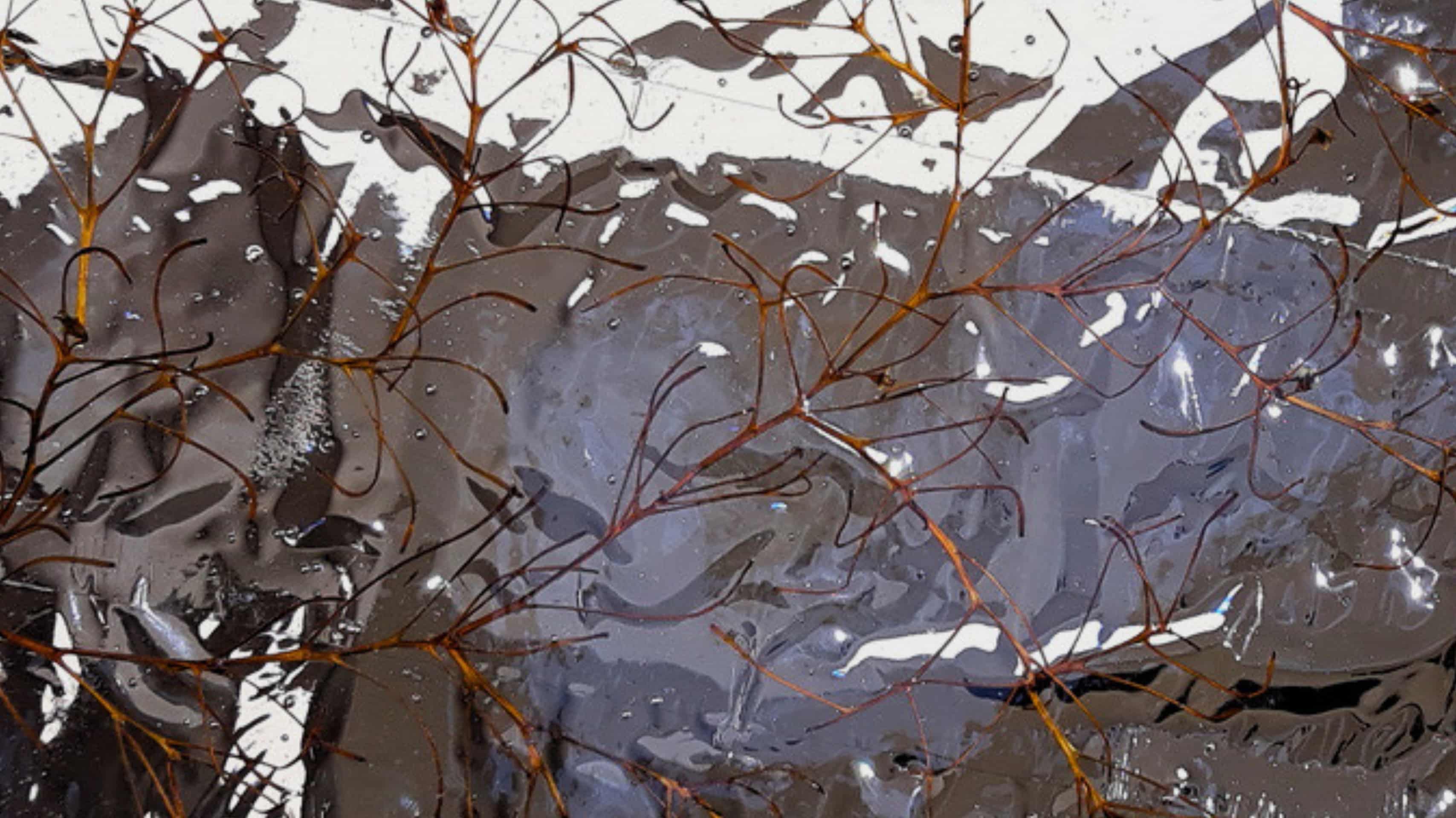 Resina — luz aprisionada no tempo