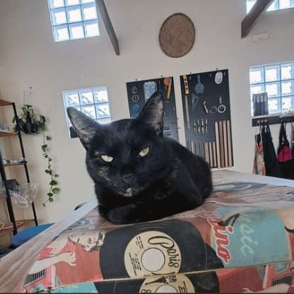 Gato preto deitado sobre uma bancada no ateliê