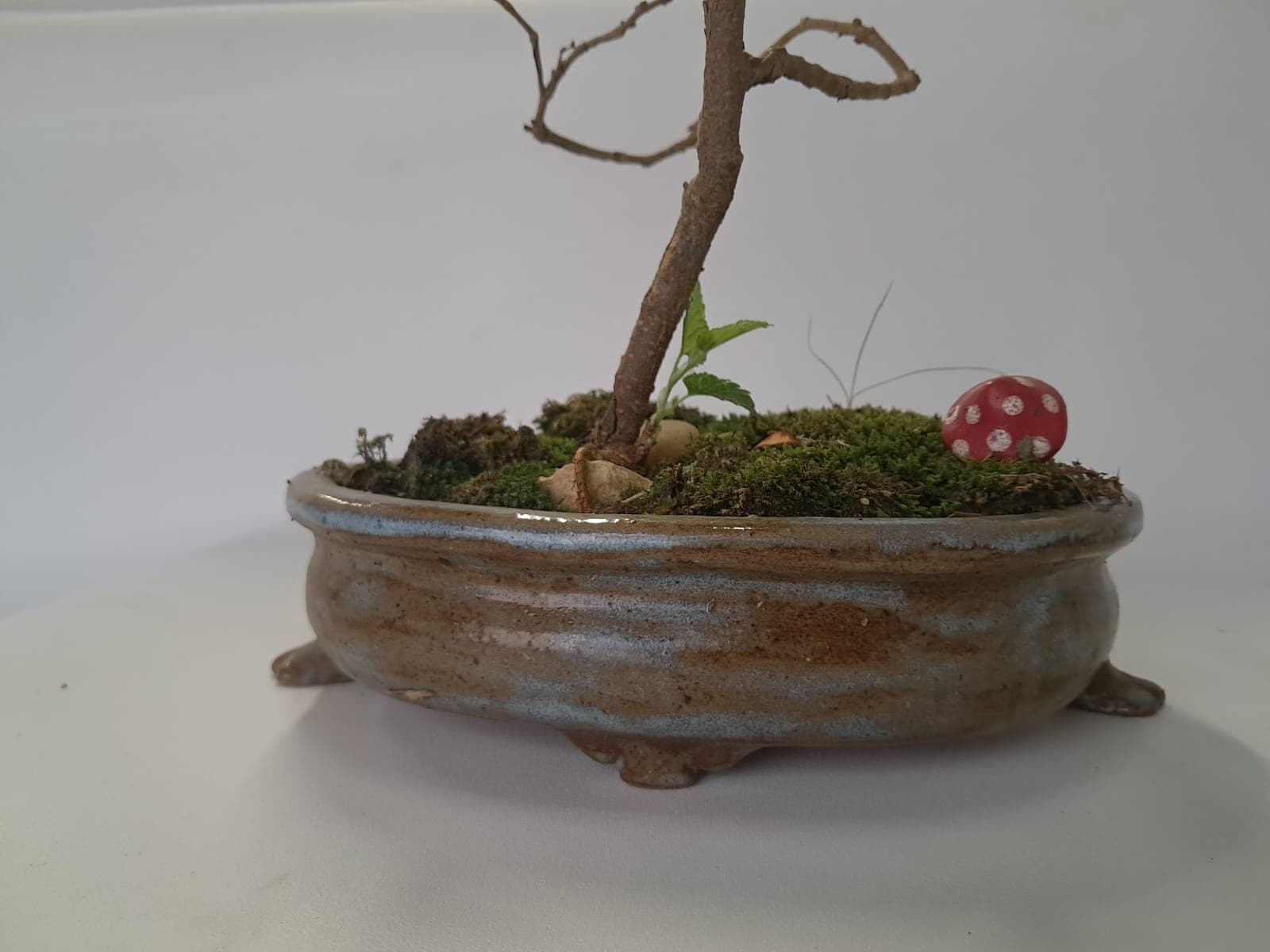 Vaso Reflexão da Matéria