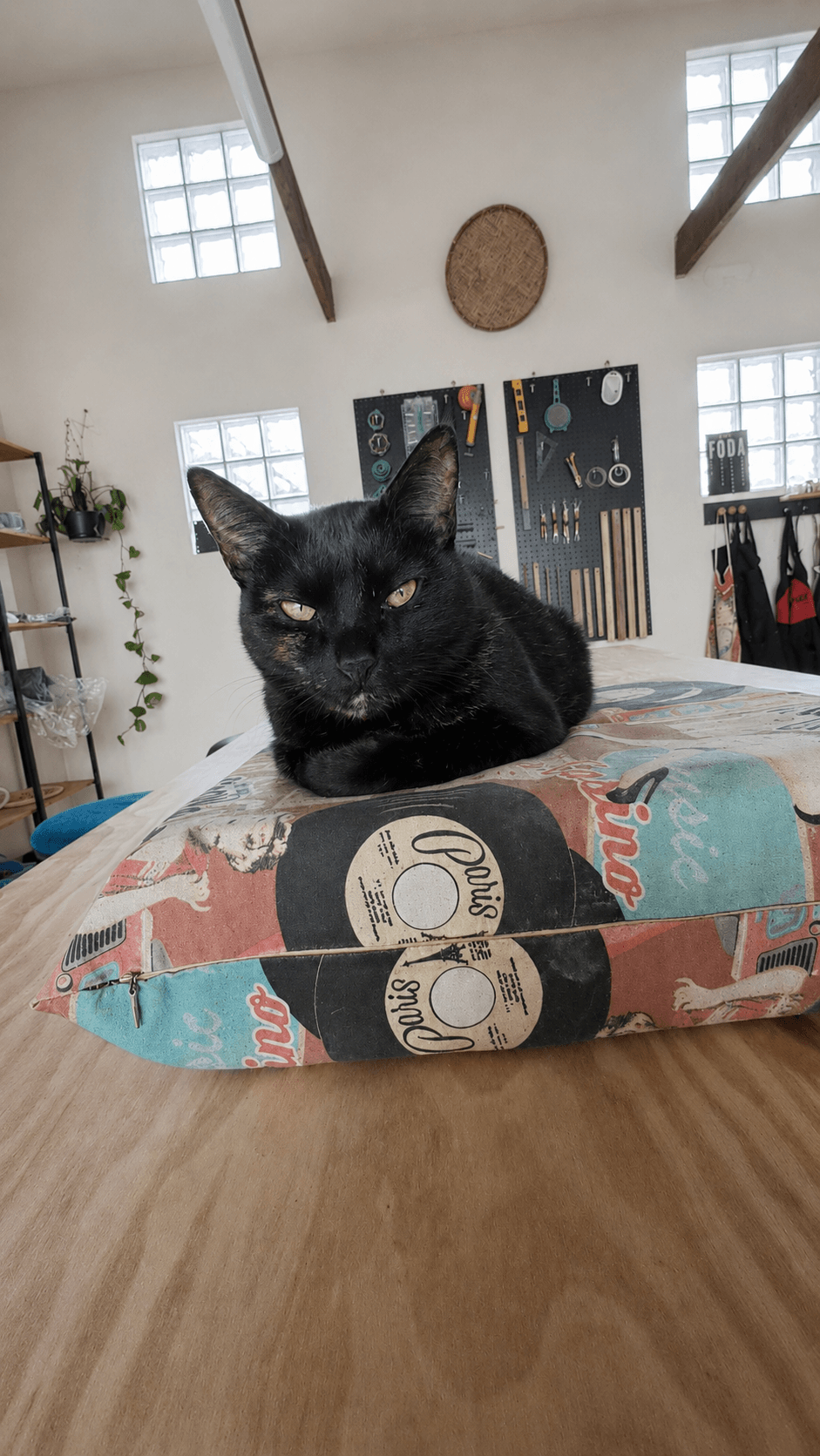 Gato preto deitado sobre uma bancada no ateliê