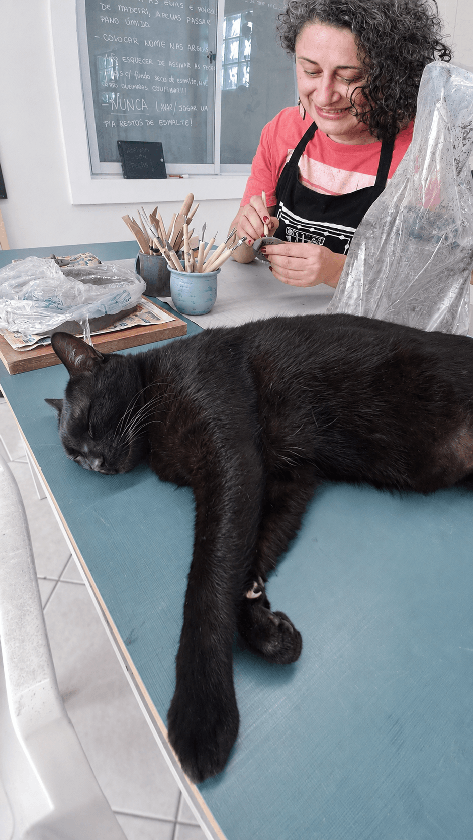 Gato preto descansando sobre a mesa de trabalho do ateliê